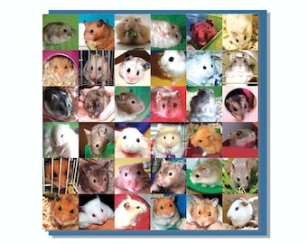 Cute Hamsters Card