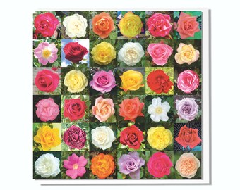 Grußkarte mit Rosen Blanko