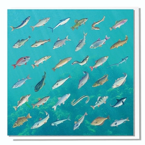 Fischen Geburtstagskarte