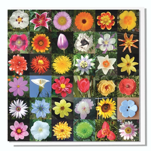 Nature Card Flowers