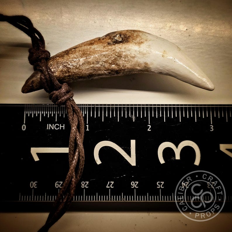 ¡Colgante de colmillo de lobo prehistórico de más de 7,6 cm de largo! Leónidas espartano, 300 colmillos grandes, hechos de resina fundida a partir de dientes reales, garras de oso, huesos de raza. imagen 10