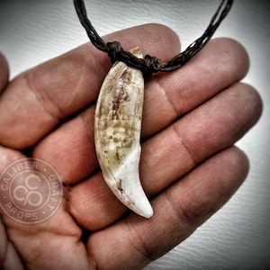 Spartan Leonidas Largest Wolf Fang Necklace Pendant (2&quot;+ long!) 300 movie large fangs resin cast from actual tooth teeth bear claw bone race