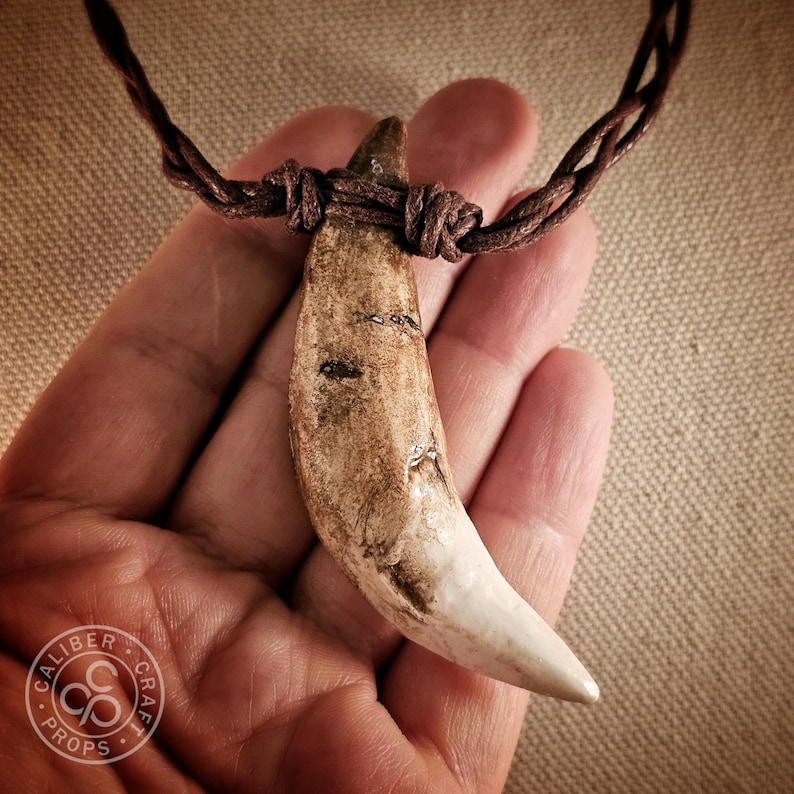 Puede incluir: Un collar con colgante artesanal con un colgante grande en forma de diente en tonos blanquecinos y marrones. El colgante est&aacute; sujeto a un cord&oacute;n trenzado marr&oacute;n. El diente tiene un aspecto natural y envejecido. El collar se sostiene en una mano.