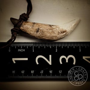 ¡Colgante de colmillo de lobo prehistórico de más de 7,6 cm de largo! Leónidas espartano, 300 colmillos grandes, hechos de resina fundida a partir de dientes reales, garras de oso, huesos de raza. imagen 9