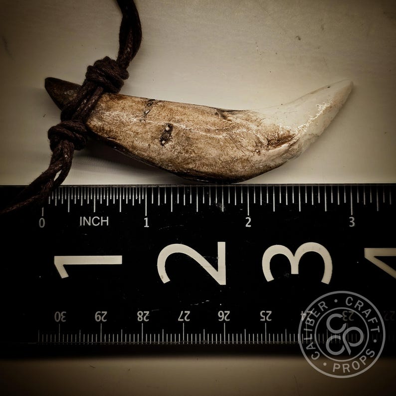 ¡Colgante de colmillo de lobo prehistórico de más de 7,6 cm de largo! Leónidas espartano, 300 colmillos grandes, hechos de resina fundida a partir de dientes reales, garras de oso, huesos de raza. imagen 9
