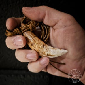 Puede incluir: Un collar con colgante artesanal con un colgante grande, curvado en forma de diente, de color blanquecino. El colgante cuelga de un cord&oacute;n de cuero marr&oacute;n, anudado en la parte superior. El collar tiene una est&eacute;tica r&uacute;stica y natural.