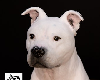 Welche Kriterien es vorm Kaufen die Hunde sexpuppe zu analysieren gibt