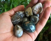 Ocean Jasper Tumbled