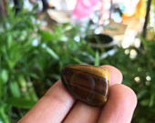 Tumbled Tiger 39 s Eye