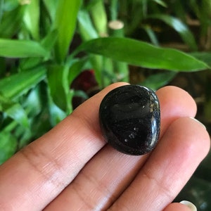 May include: A polished, black gemstone with a smooth, rounded shape. The stone has a glossy surface with subtle variations in texture and color. The background features green foliage, providing a natural contrast to the dark stone.
