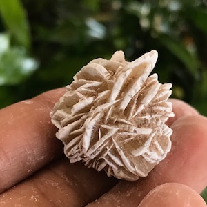 Selenite Rose