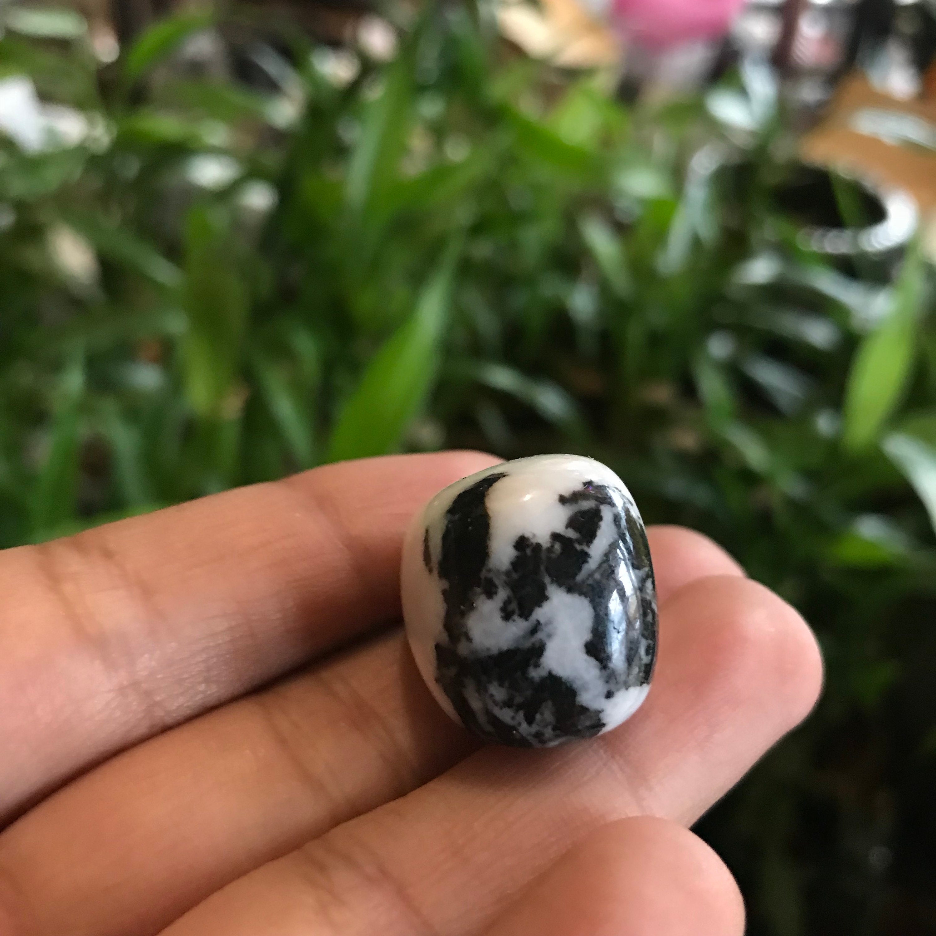 Zebra Jasper Tumbled