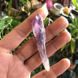 Bahia Amethyst Wand Points Chards