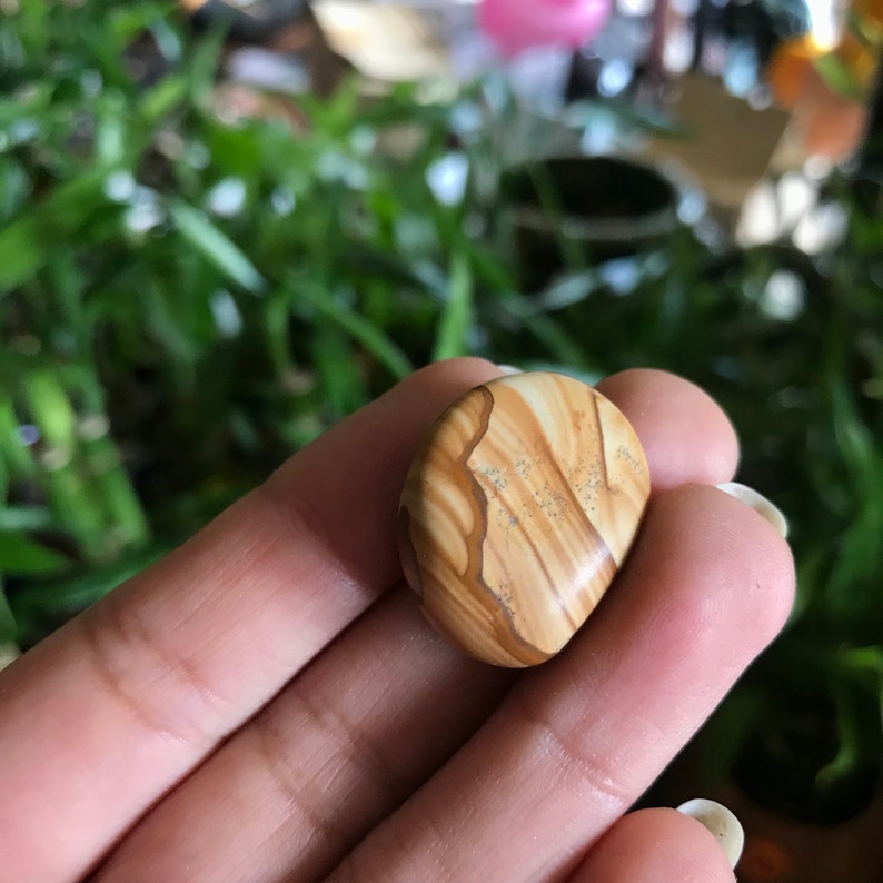 Walnut Jasper Tumbled Etsy