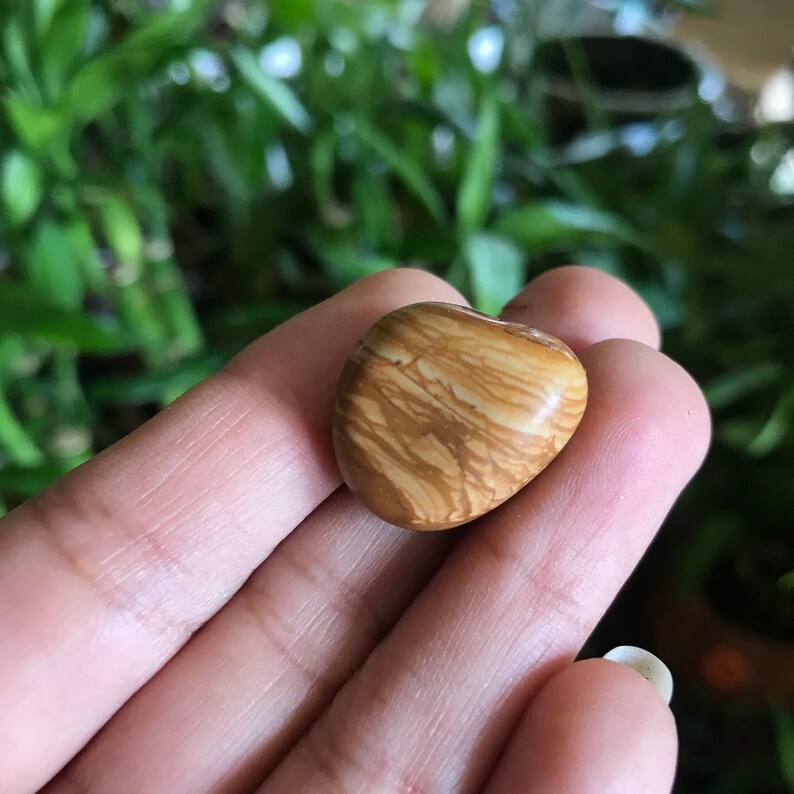 Walnut Jasper Tumbled Etsy