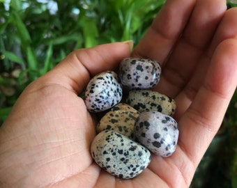 Dalmation Jasper Tumbled
