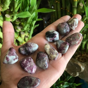 Pink Tourmaline Tumbled