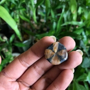 May include: A close-up of a brown and black star-shaped gemstone with a six-pointed star pattern.