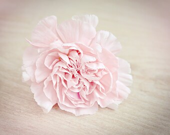 Flower Photography - Pink Peony Flower Art