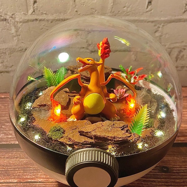 Charizard Pokemon Terrarium / Pokeball Terrarium / Pokemon Go / PokemonTCG / Pokemon Cards / Pokemone / Pokimon / Anime Gifts / Fall Decor