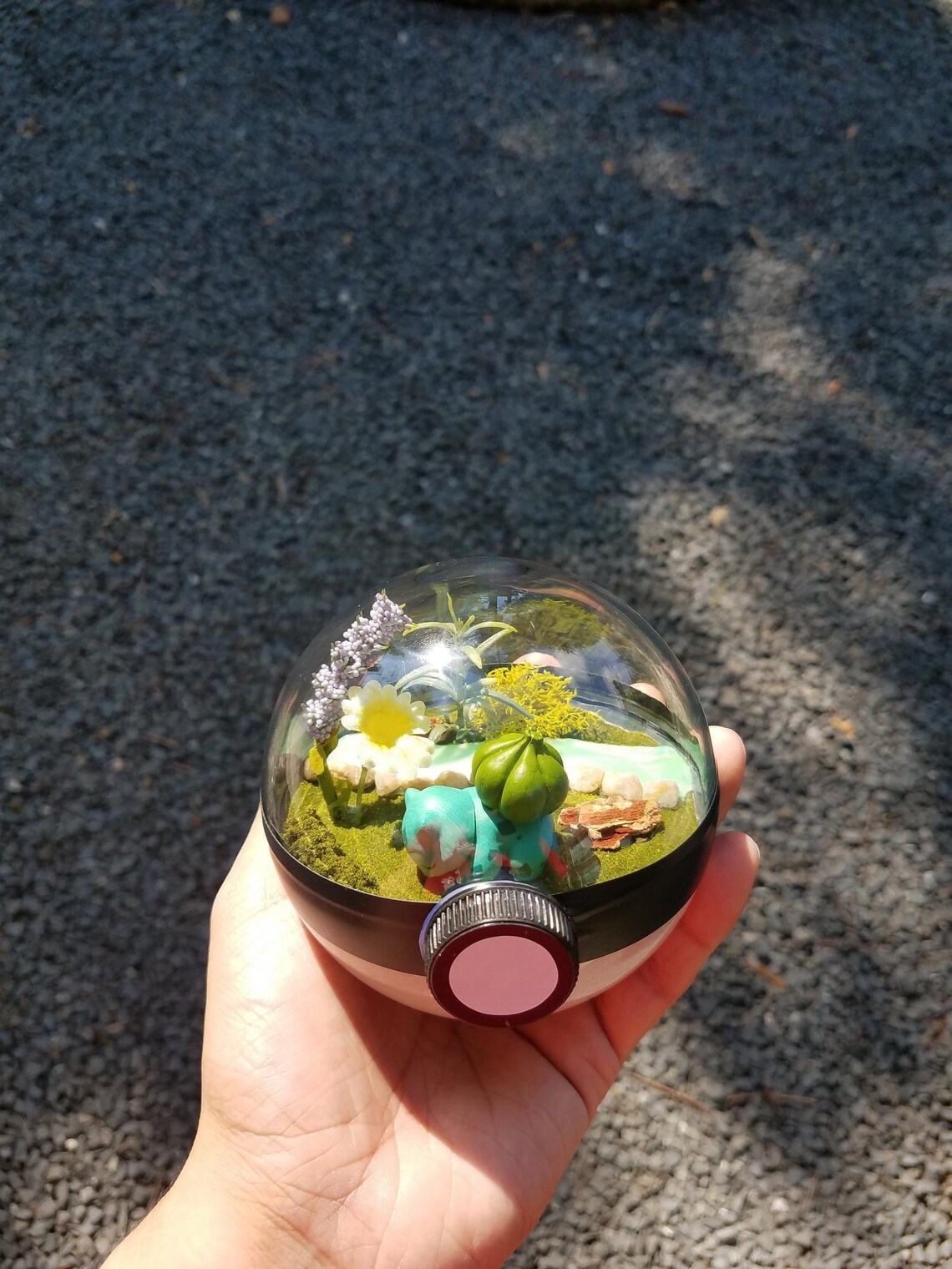 Bulbasaur Pokeball Terrarium Pokemon Terrarium Pokemon Etsy