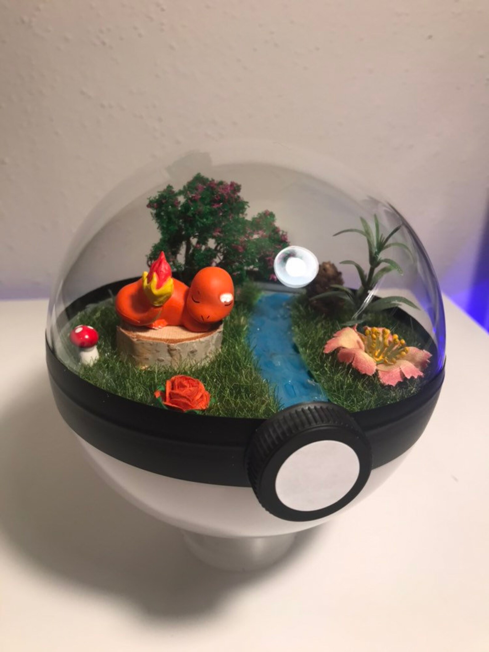 Charmander XL Version Pokemon Terrarium Etsy
