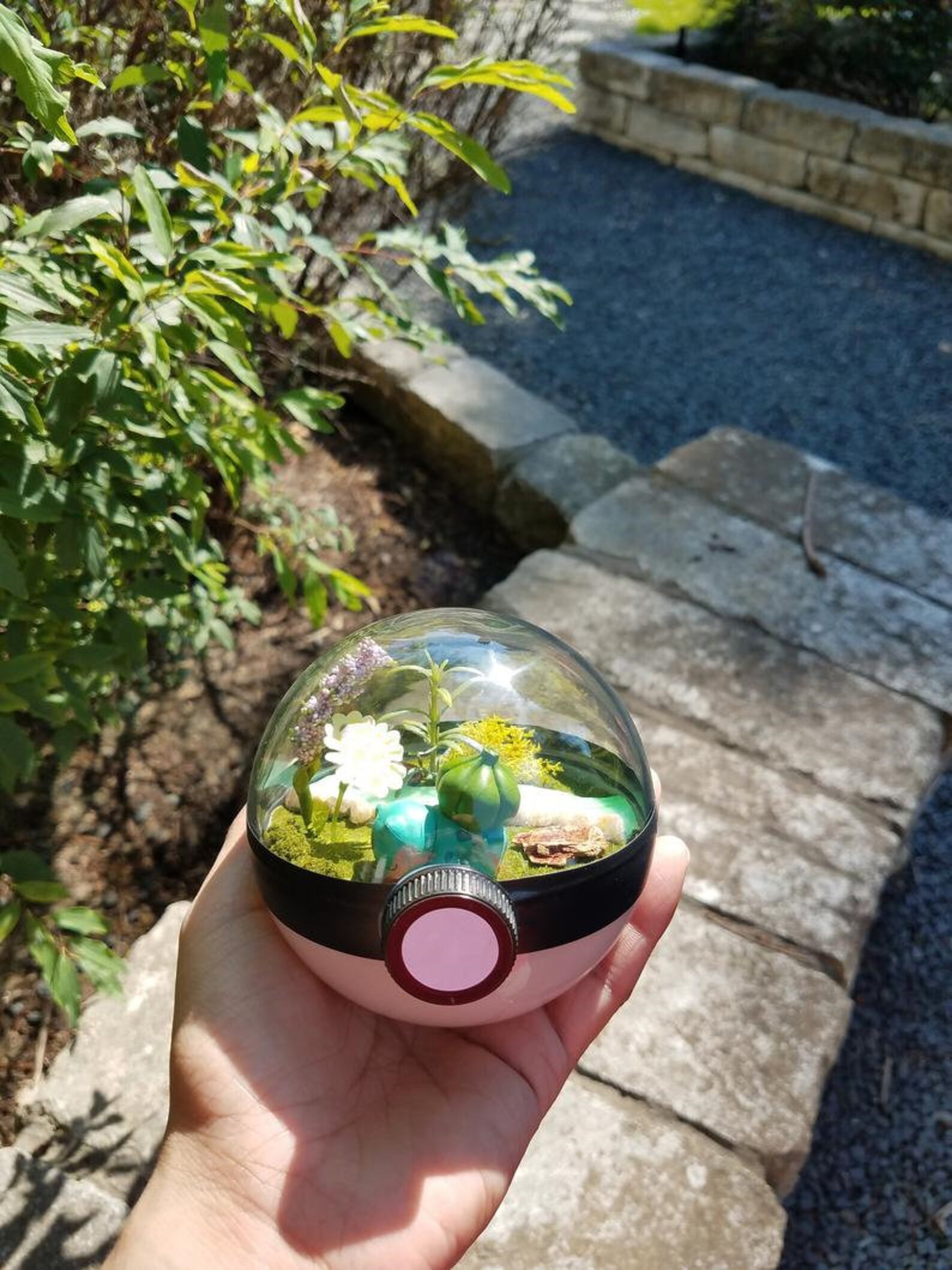Bulbasaur Pokeball Terrarium Pokemon Terrarium Pokemon Etsy