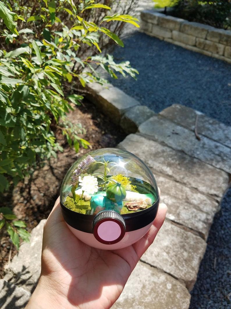 Bulbasaur Pokeball Terrarium Pokemon Terrarium Pokemon Etsy