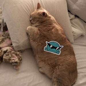May include: A light orange cat sleeping on a white pillow with a green cartoon sticker of a creature wearing sunglasses on its back.