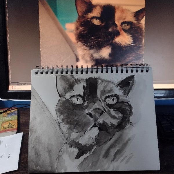 PET PORTRAIT - Send me a photo of your cat for a one-of-a-kind India ink wash and watercolor of your feline friend - Examples shown.