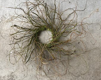 Curly Willow Wreath Etsy