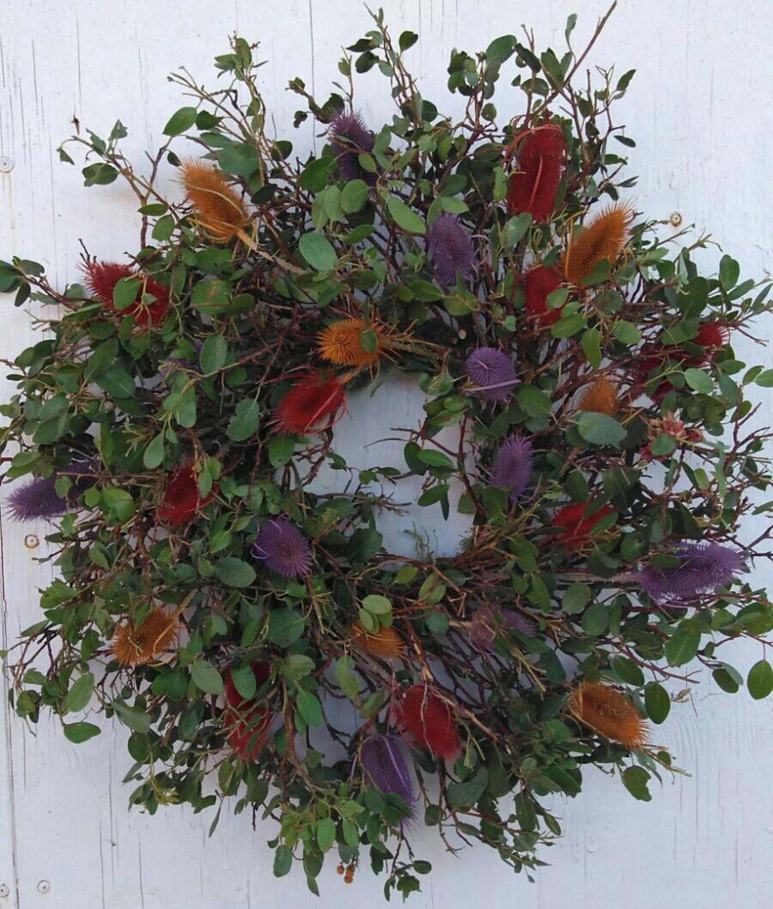 Small Wreath Manzanita Wreath Preserved Arctostaphylos Wreath Etsy