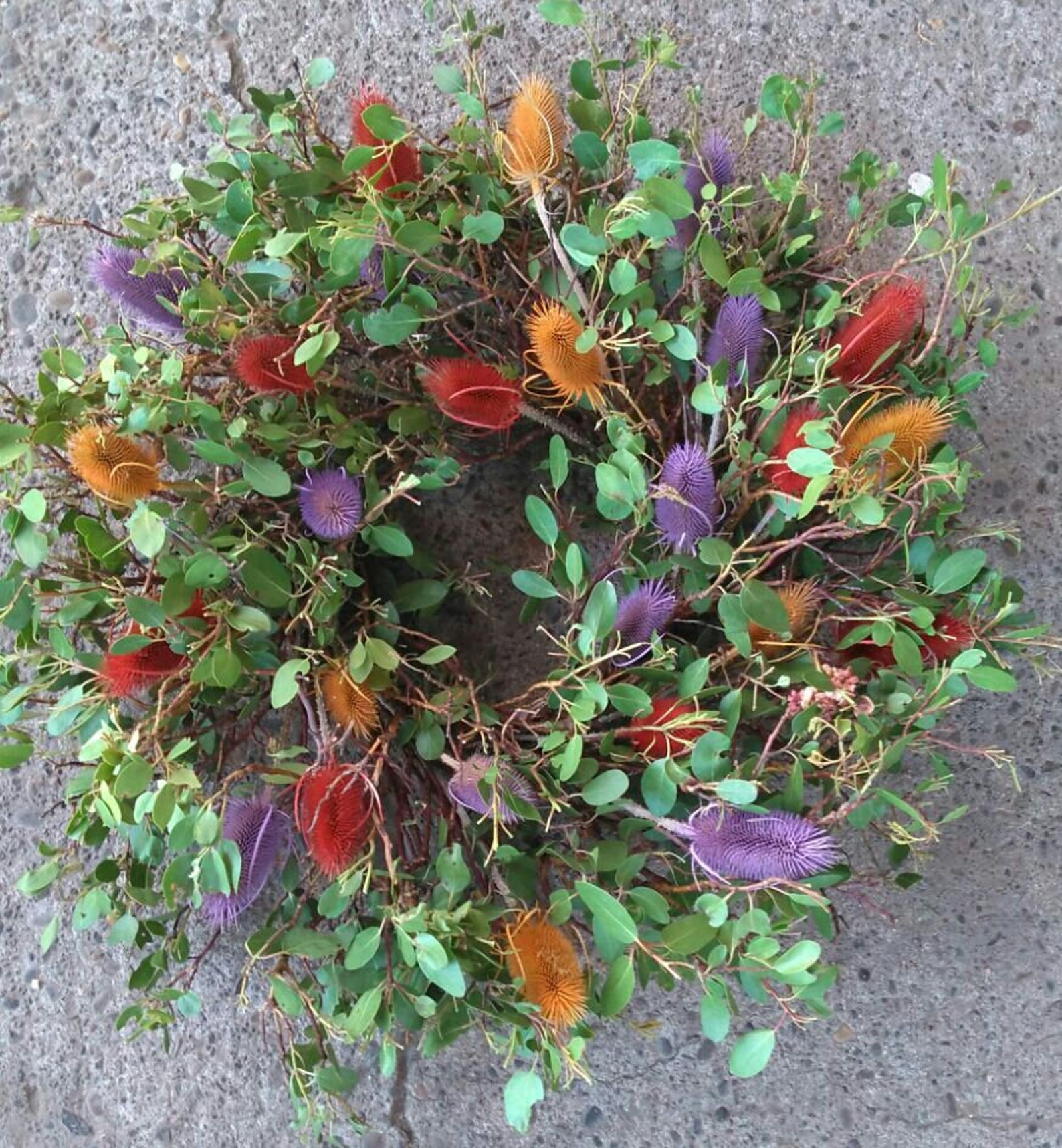 Small Wreath Manzanita Wreath Preserved Arctostaphylos Wreath Etsy