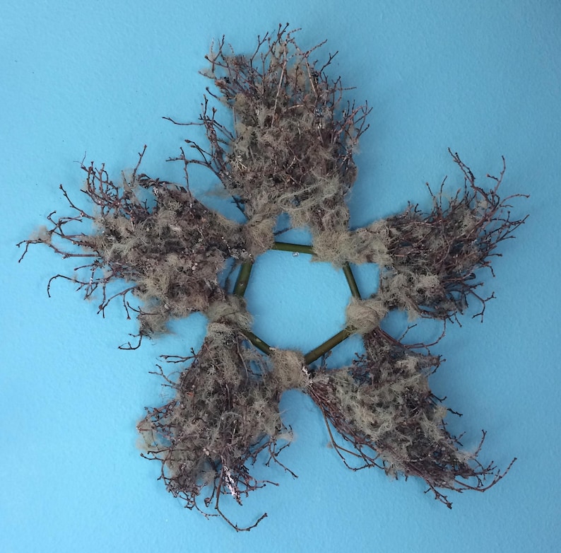 Star Lichen Branches Star Autumn Decoration Natural Star Free Shipping Star Country Home Decor