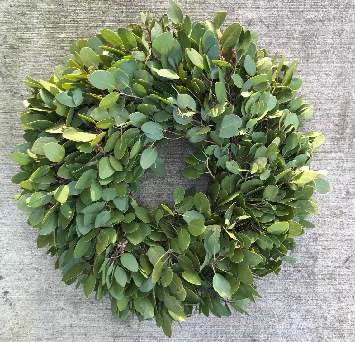 Wreath Manzanita Wreath Small Wreath Door Size Wreath Etsy UK