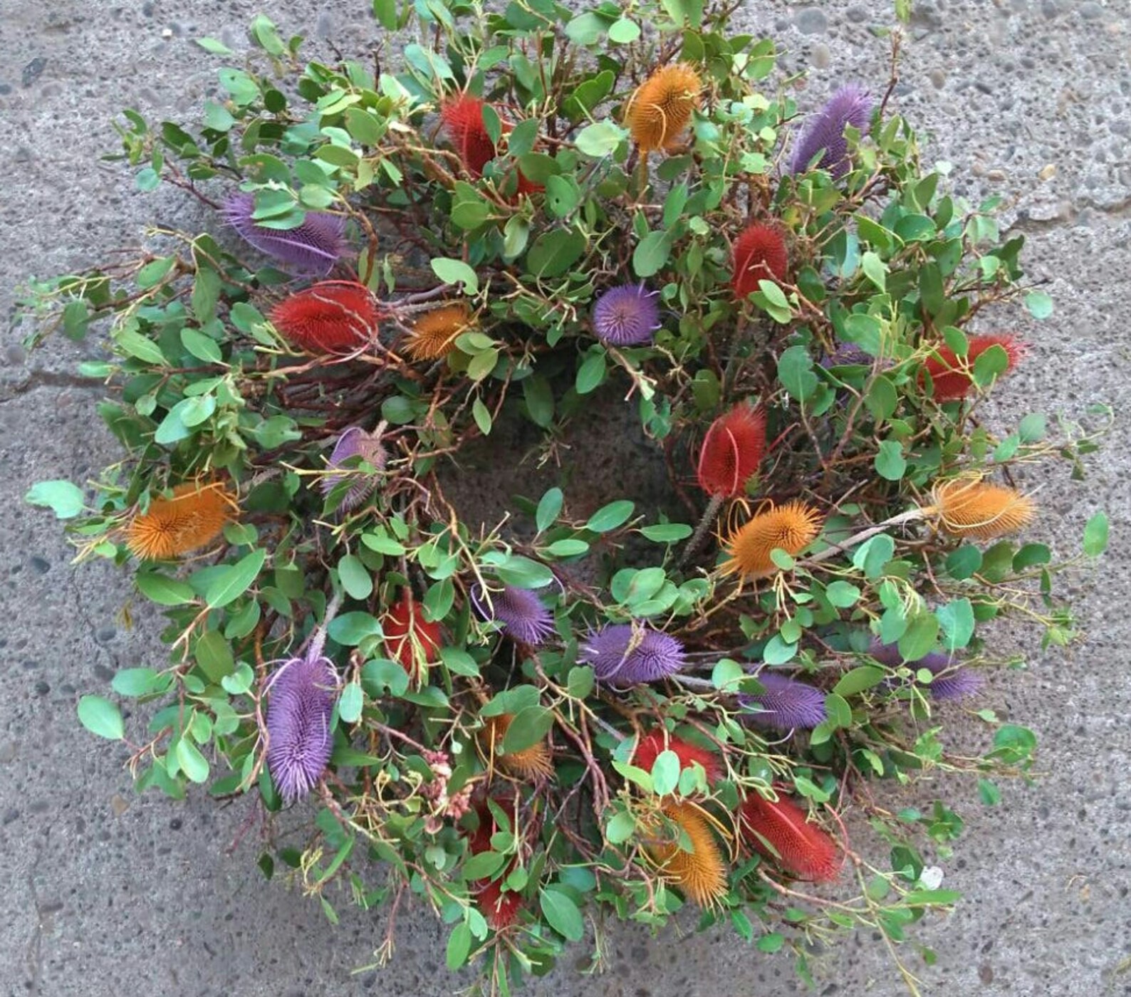 Small Wreath Manzanita Wreath Preserved Arctostaphylos Wreath Etsy