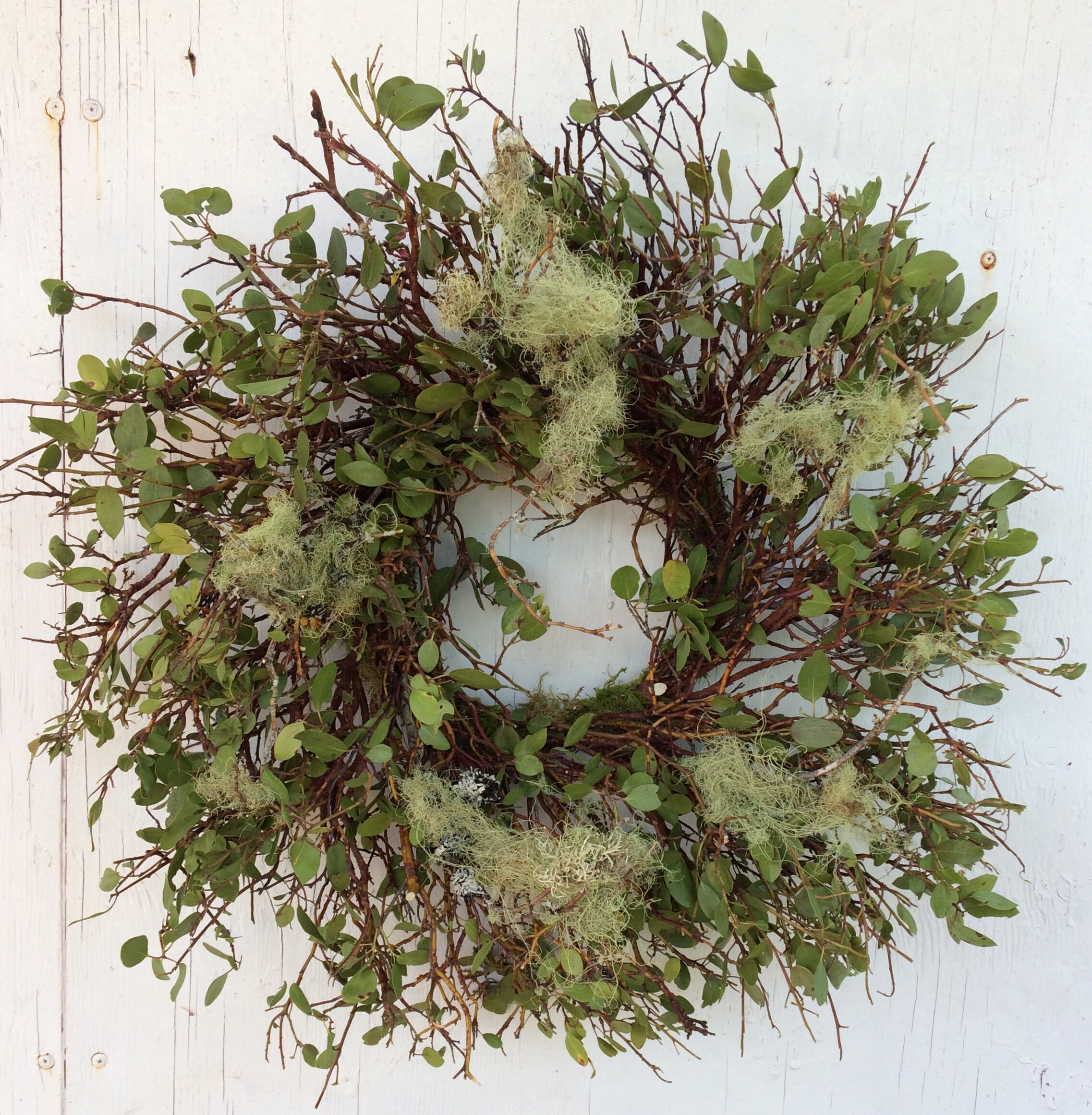 Wreath Manzanita Wreath Arctostaphylos Wreath Lichen Etsy