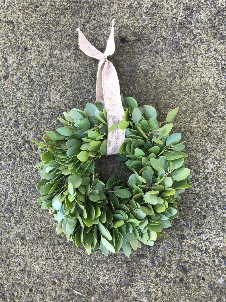 Wreath Small Wreath Medium Wreath Large Wreath Manzanita Etsy