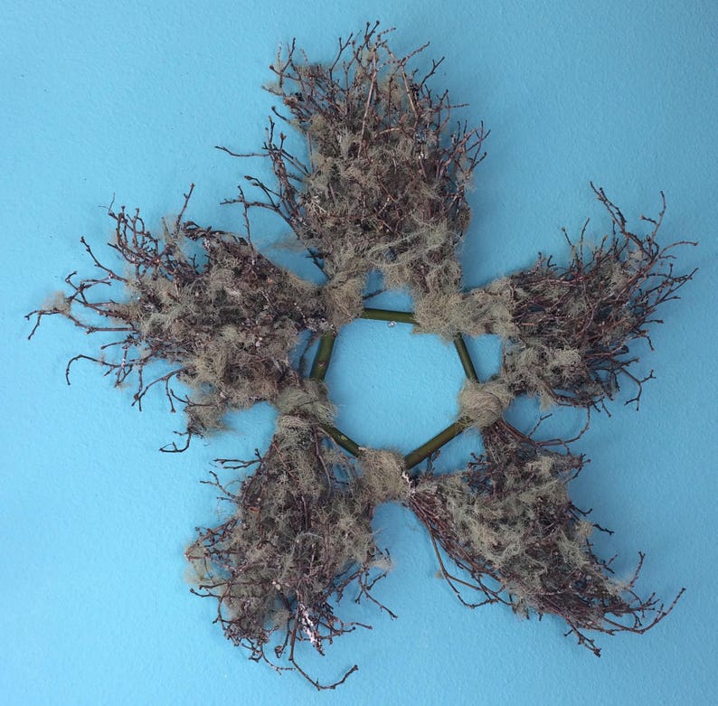 Star Lichen Branches Star Autumn Decoration Natural Star Free Shipping Star Country Home Decor