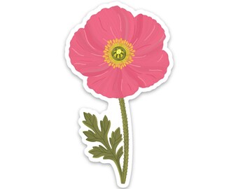 Icelandic Poppy Sticker | Pink Floral Sticker | Botanical Flower Decal | Cottagecore Aesthetic | Water Bottle & Laptop Sticker