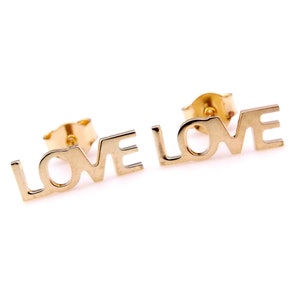Women&#39;s silver earrings LOVE AMORE