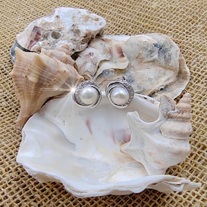 Women&#39;s 925 sterling silver earrings with natural river pearl hypoallergenic lobe earrings