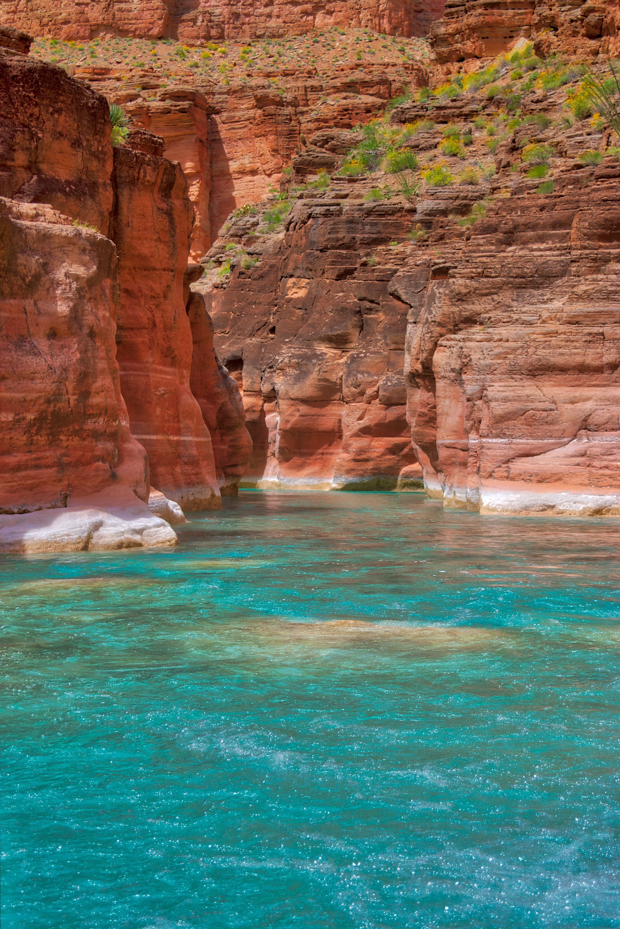 32+ Havasu Creek & Colorado River Confluence