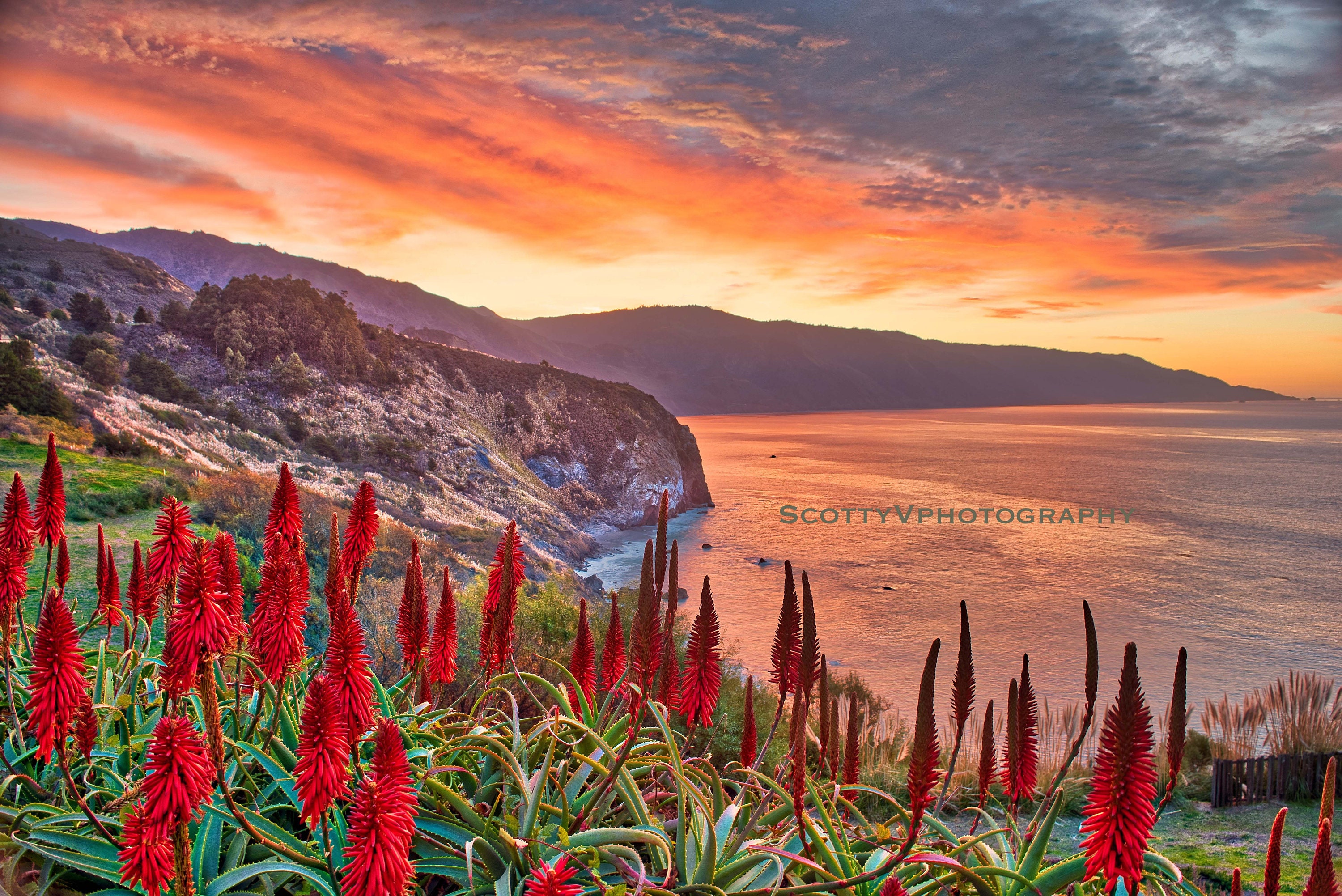 DJI Osmo Action 5 Pro Review: The Ultimate Action Camera, image size:3000x2003