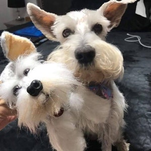 Replicas Plushies of Your Lovely Pet
