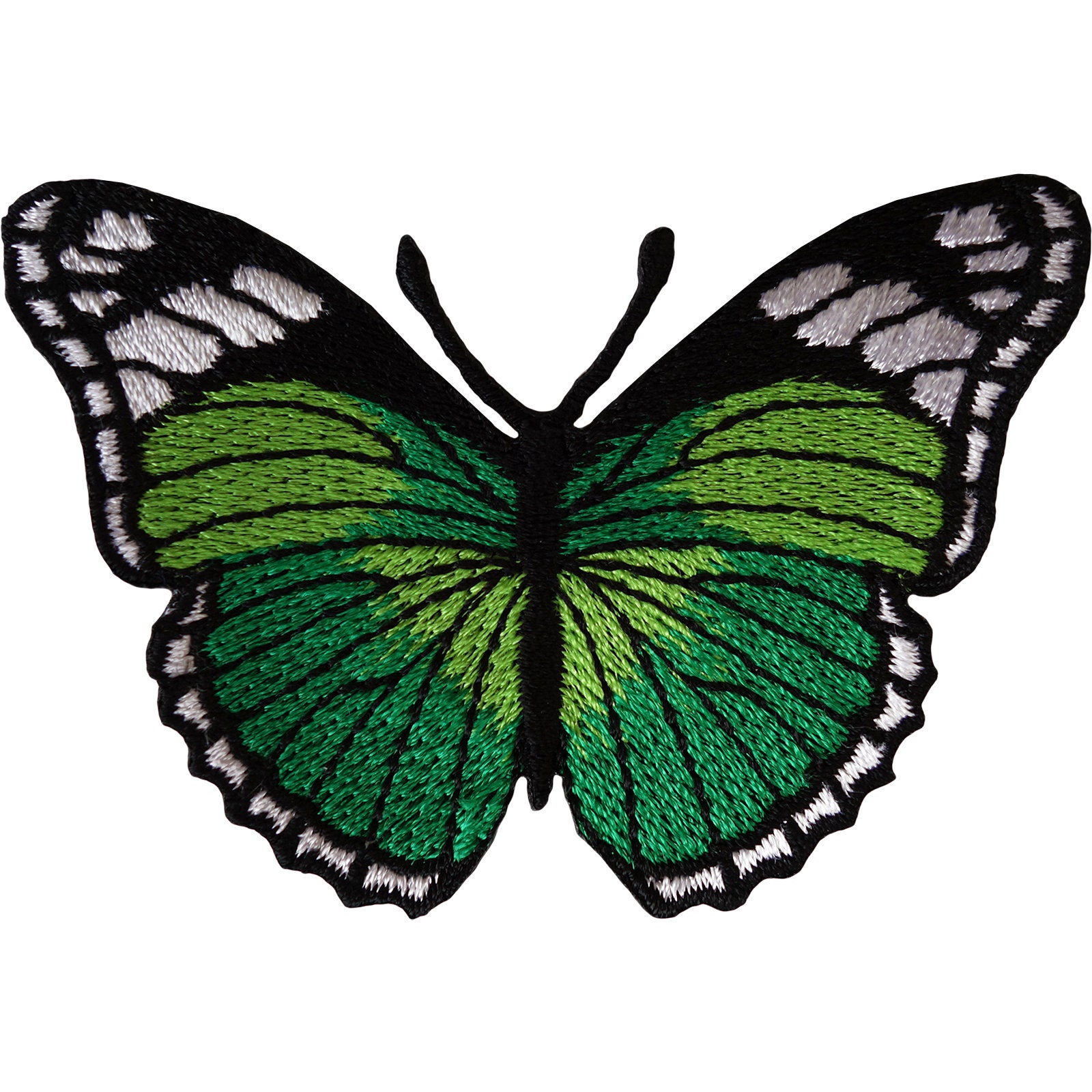 Черно зеленая бабочка. Зеленая бабочка. Green Butterfly.