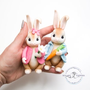 Topper per torta Peter Rabbit per decorare torte realizzato con pasta di zucchero per torte di compleanno per bambini con animali