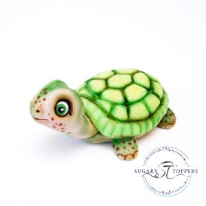 Schildkröte Torten Deko Torte Kinder Geburtstag Tortendeko Tortendeko aus Sugarpaste Fondant