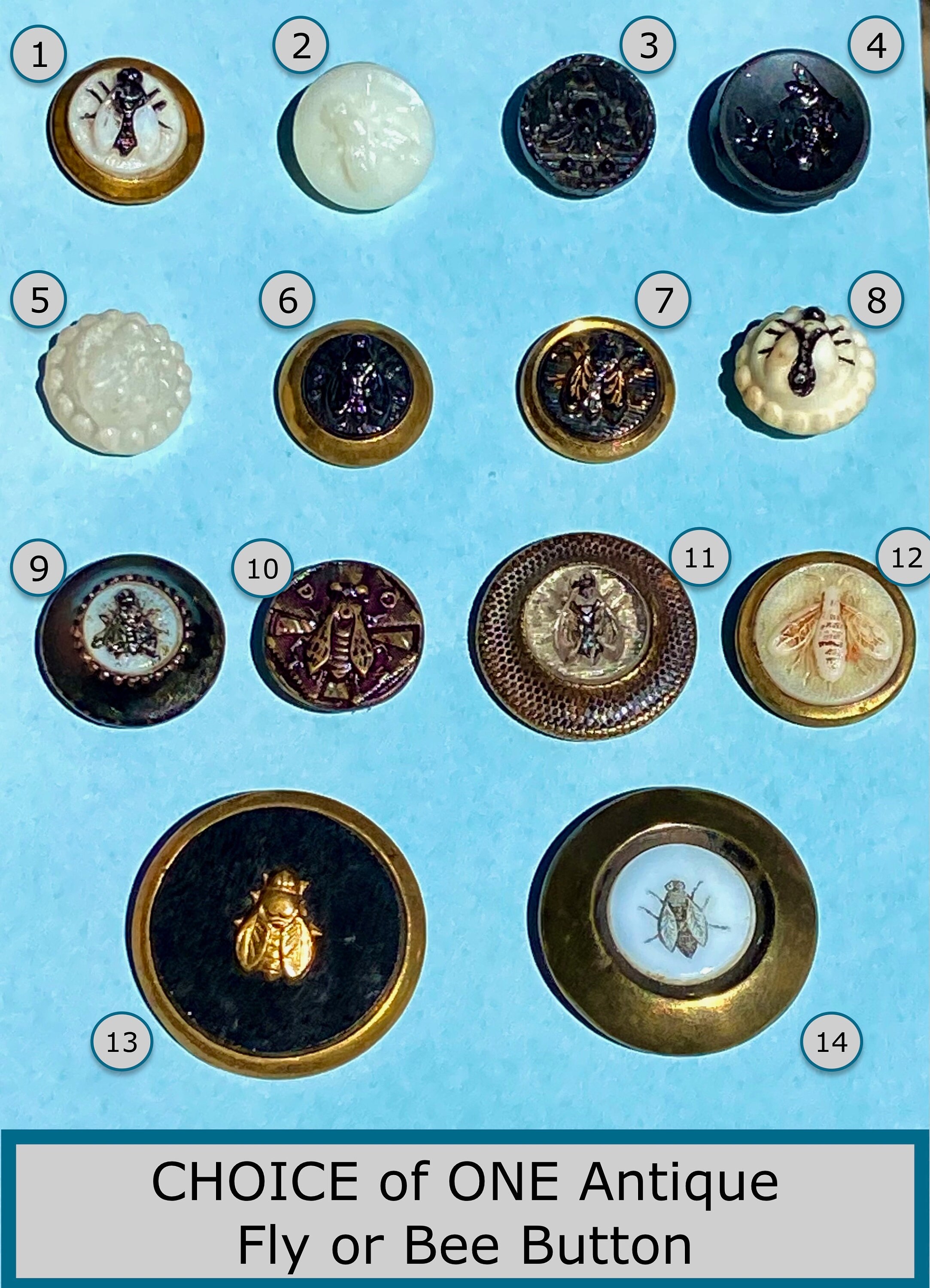 CHOICE of ONE Antique 19th Century Insect Button NBS Small & - Etsy