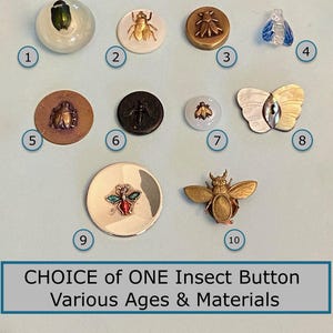 ボタンと近寄る昆虫 現在、この商品の在庫はありません - Etsy